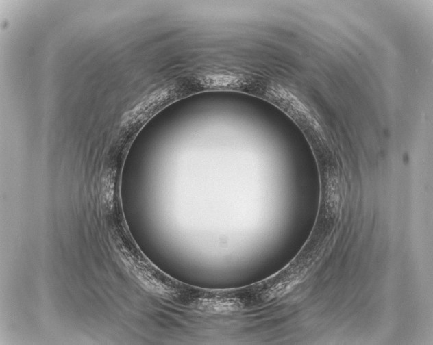 X0000087050545200704251006