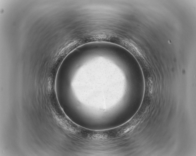 X0000087050546200704251006