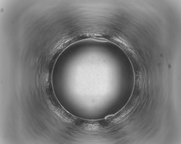 X0000087050548200704251007