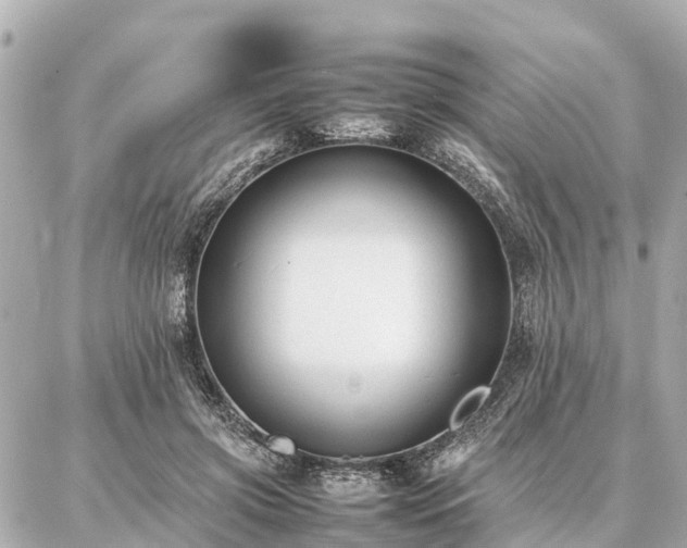 X0000087050549200704251007