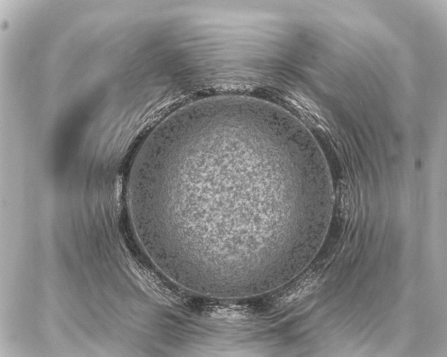 X0000087050550200704251007