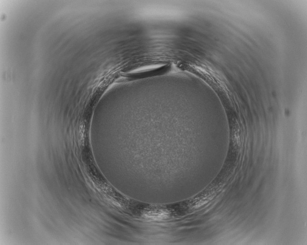 X0000087050551200704251007