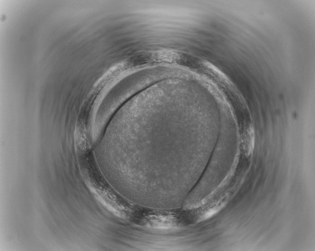 X0000087050552200704251007