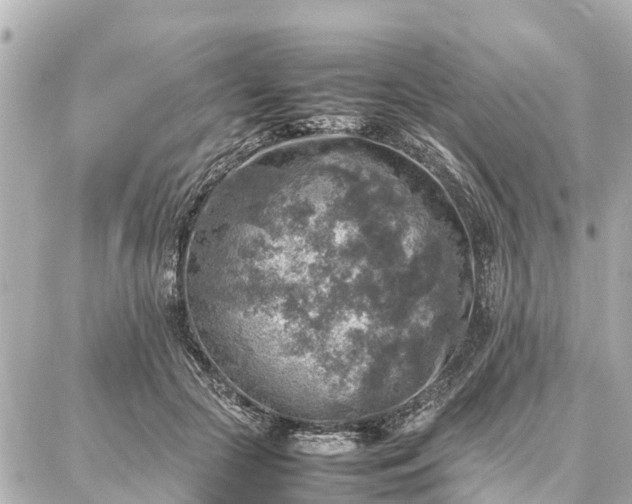 X0000087050553200704251007