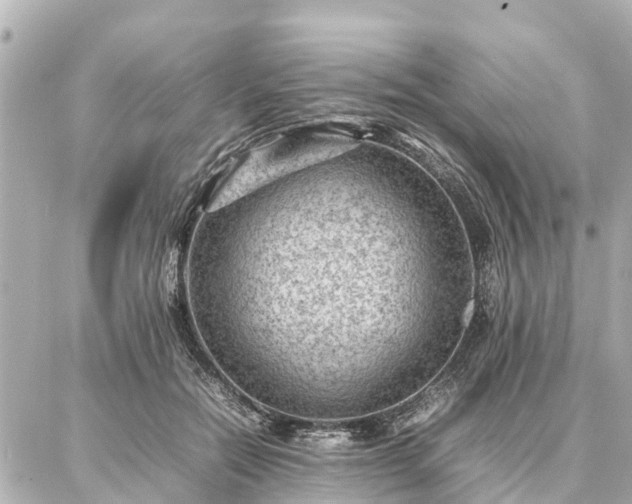 X0000087050554200704251007