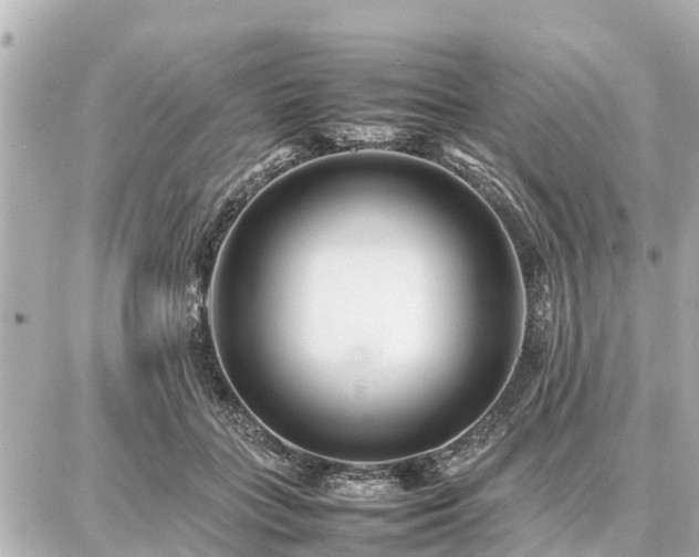 X0000087050555200704251007