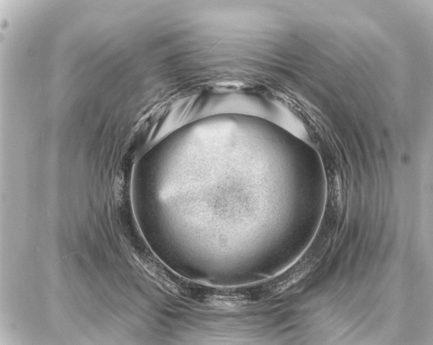 X0000087050556200704251007