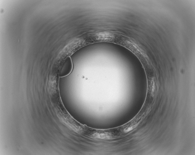 X0000087050557200704251007