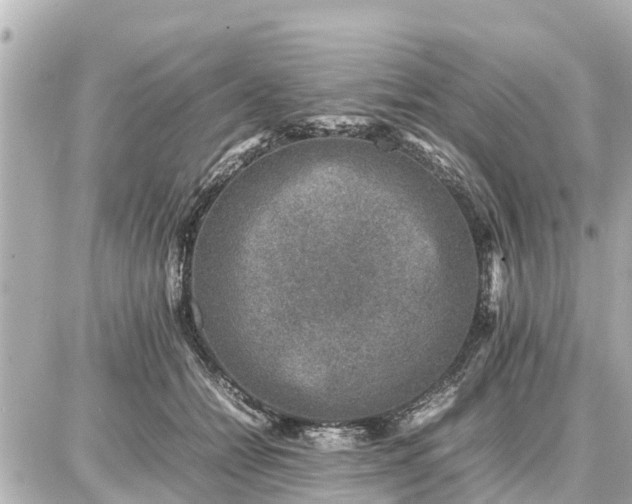 X0000087050558200704251007