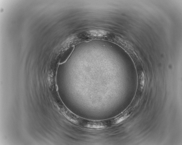 X0000087050559200704251007