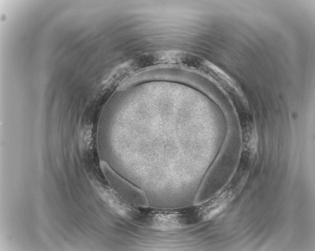 X0000087050560200704251007