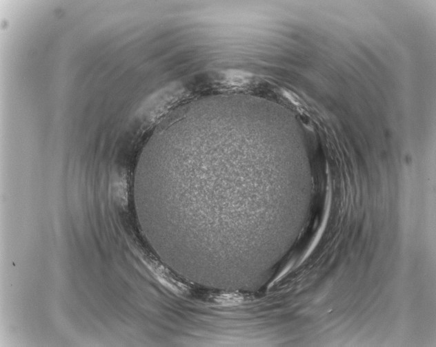 X0000087050562200704251007