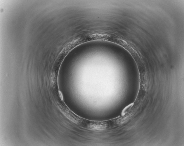 X0000087050563200704251007