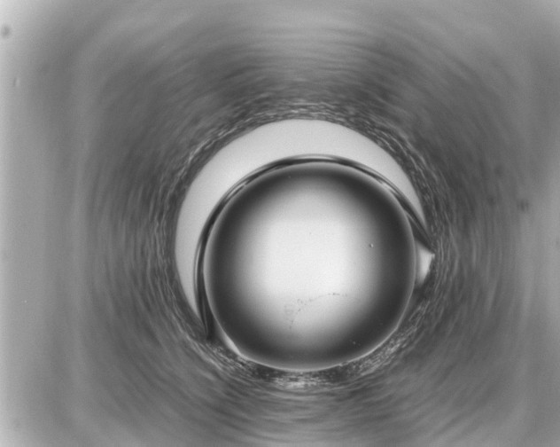 X0000087050564200704251007