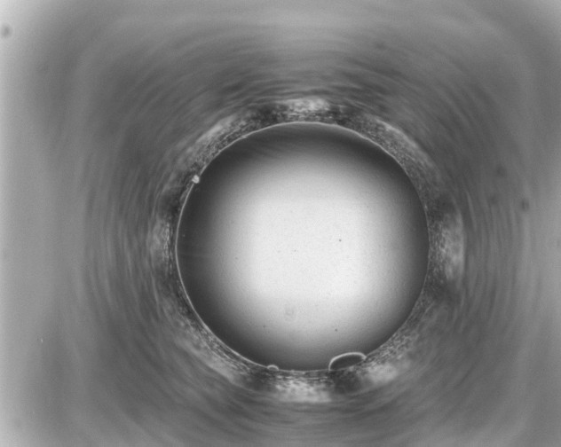 X0000087050565200704251007