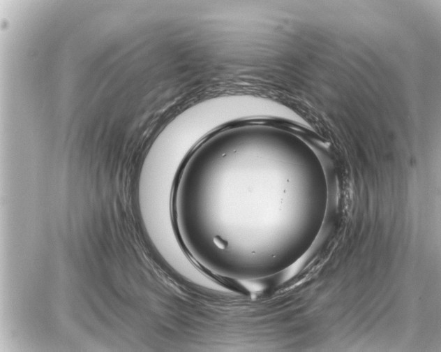 X0000087050566200704251007