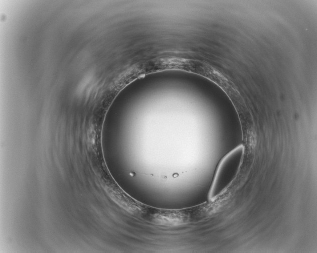 X0000087050567200704251007