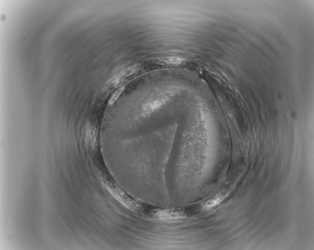 X0000087050568200704251007