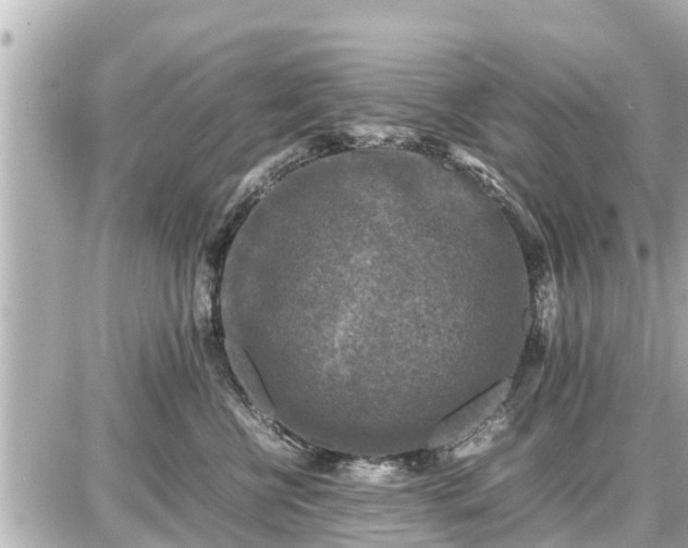 X0000087050570200704251007