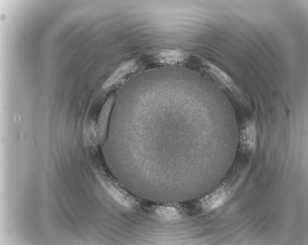 X0000087050572200704251007