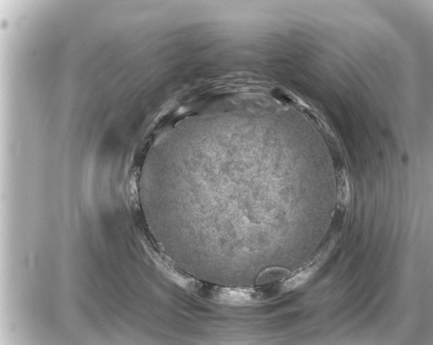 X0000087050573200704251007