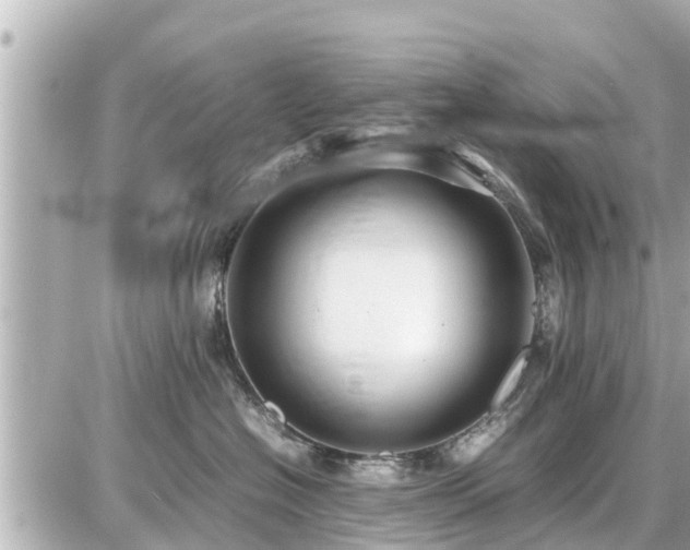 X0000087050574200704251007