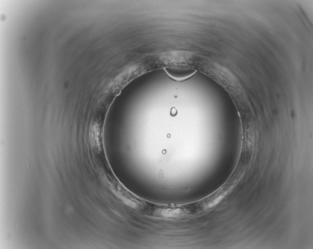 X0000087050575200704251007