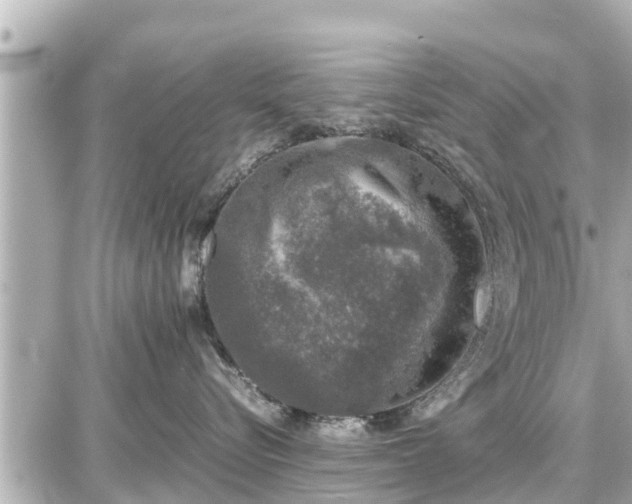 X0000087050576200704251007