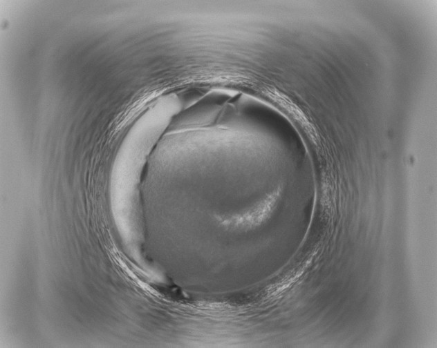 X0000087050577200704251006