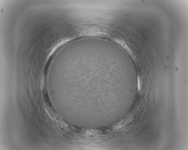 X0000087050579200704251006