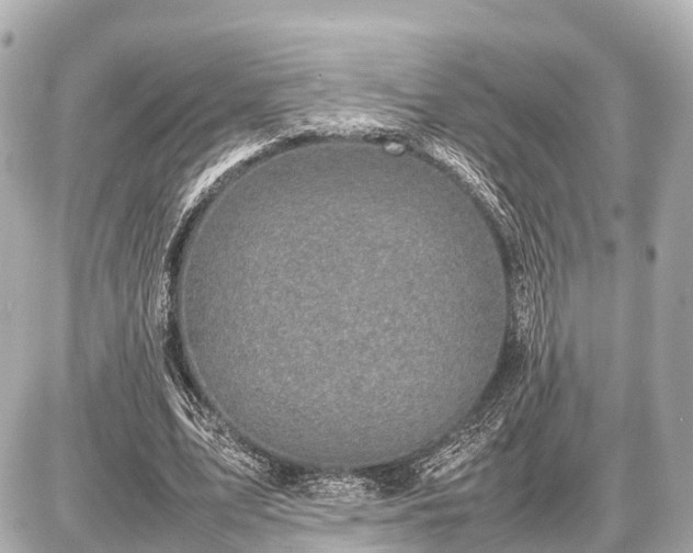 X0000087050583200704251006