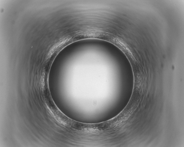 X0000087050586200704251006