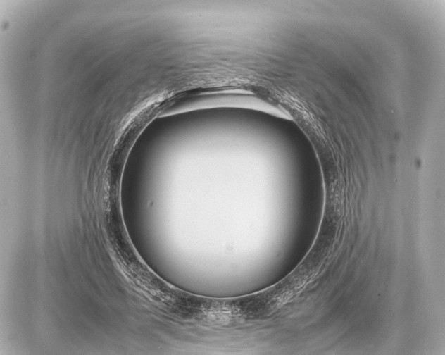 X0000087050587200704251006