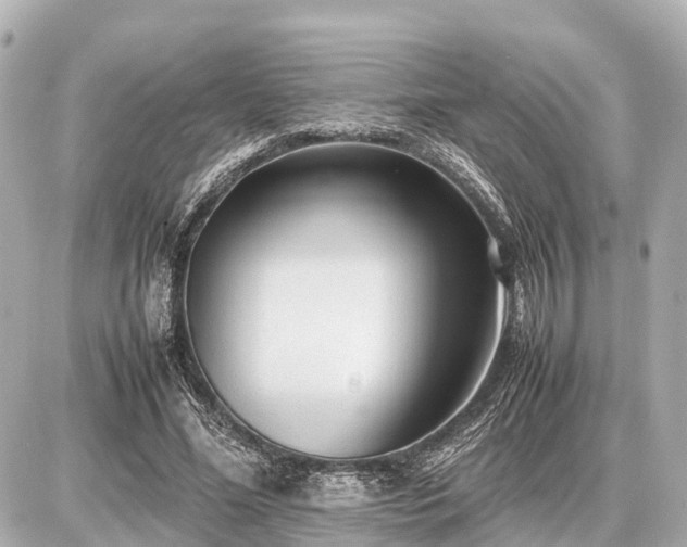 X0000087050588200704251006