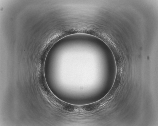 X0000087050591200704251006