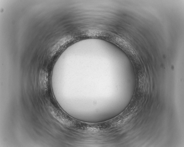 X0000087050592200704251006