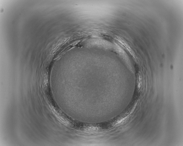 X0000087050593200704251006