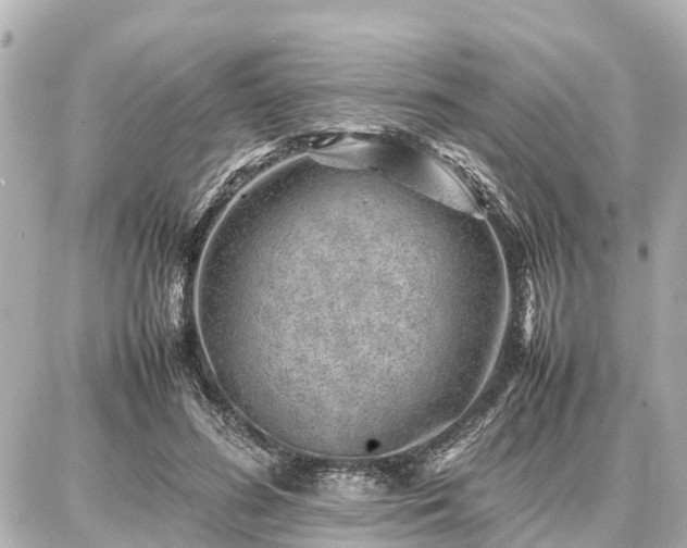 X0000087050596200704251006