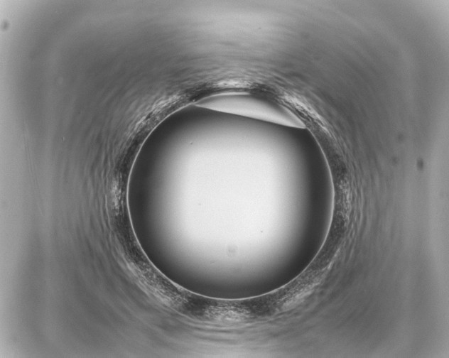 X0000087050597200704251006