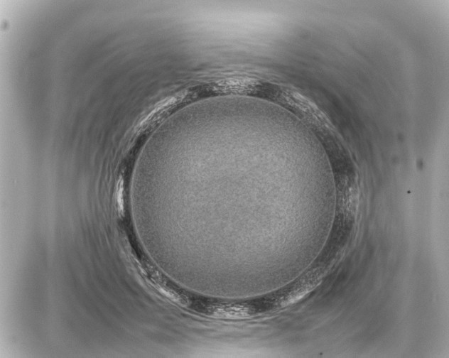 X0000087050599200704251006