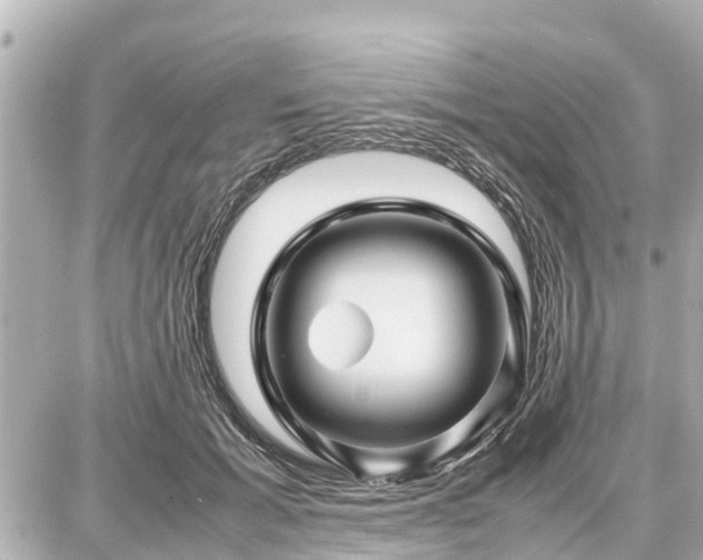 X0000087050605200704251006