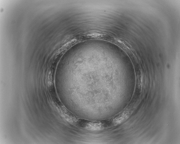 X0000087050606200704251006