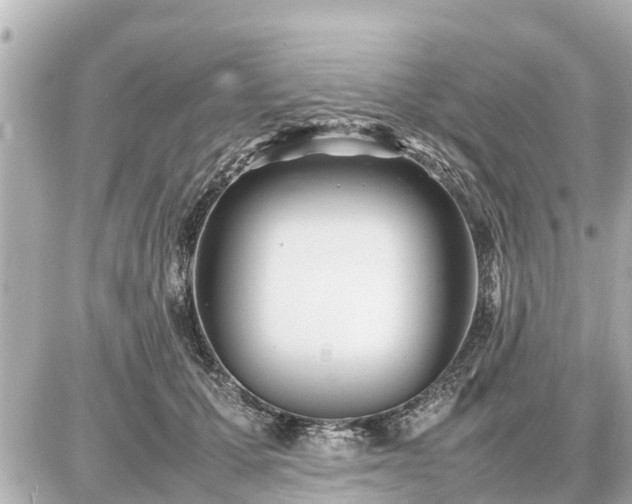 X0000087050607200704251006