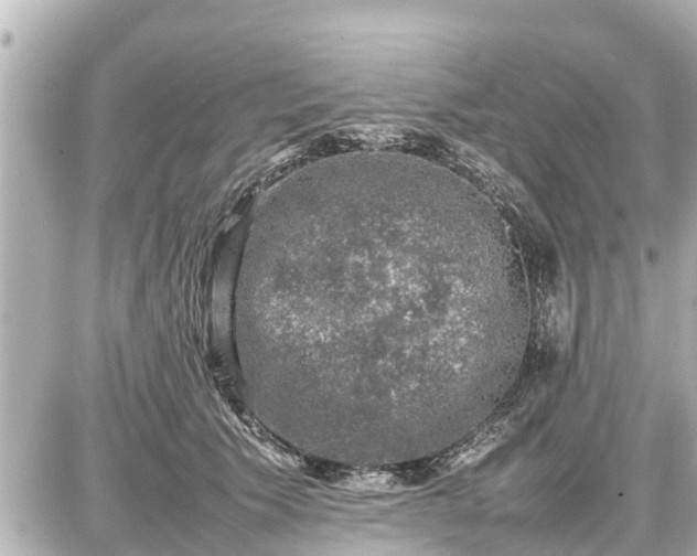 X0000087050609200704251006