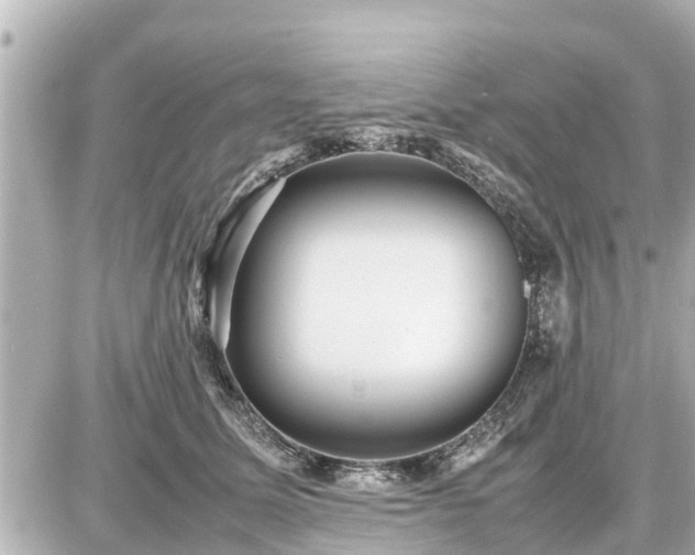 X0000087050611200704251006