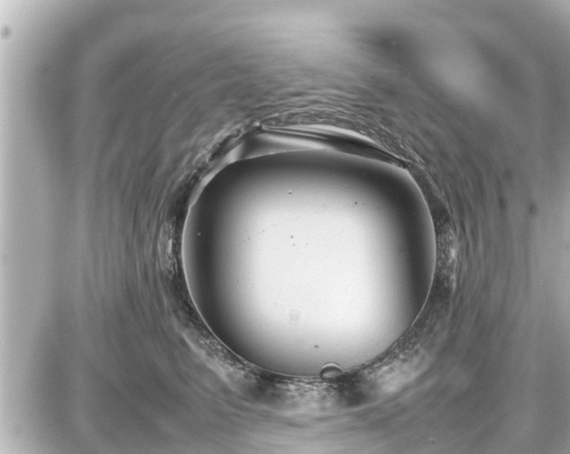 X0000087050615200704251006