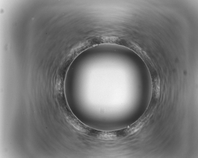 X0000087050619200704251005