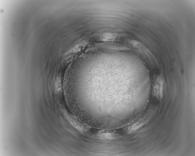 X0000087050620200704251005