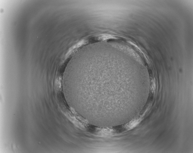 X0000087050621200704251005