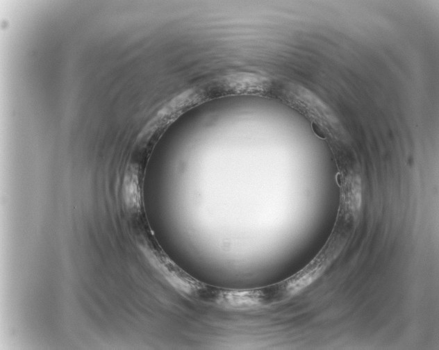 X0000087050622200704251005